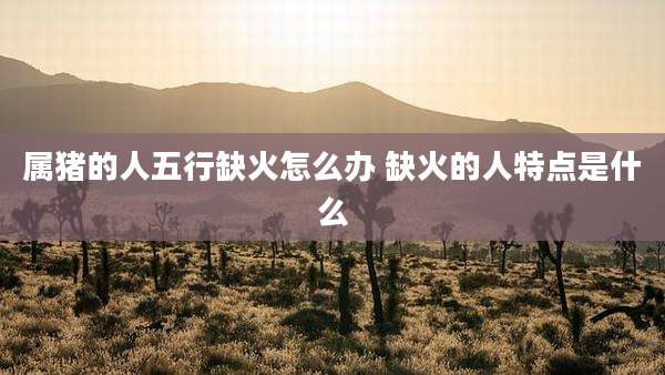 属猪的人五行缺火怎么办 缺火的人特点是什么