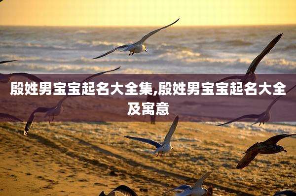 殷姓男宝宝起名大全集,殷姓男宝宝起名大全及寓意