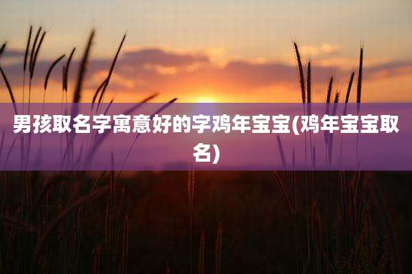 男孩取名字寓意好的字鸡年宝宝(鸡年宝宝取名)