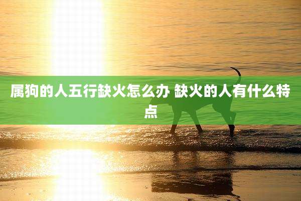属狗的人五行缺火怎么办 缺火的人有什么特点
