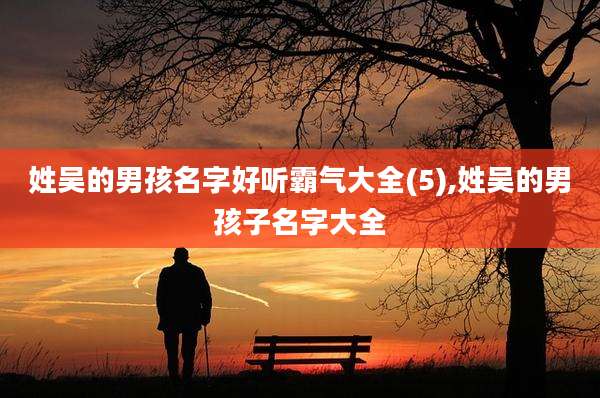 姓吴的男孩名字好听霸气大全(5),姓吴的男孩子名字大全