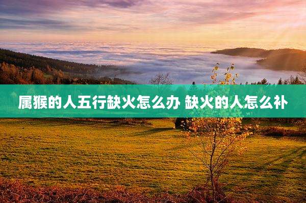 属猴的人五行缺火怎么办 缺火的人怎么补