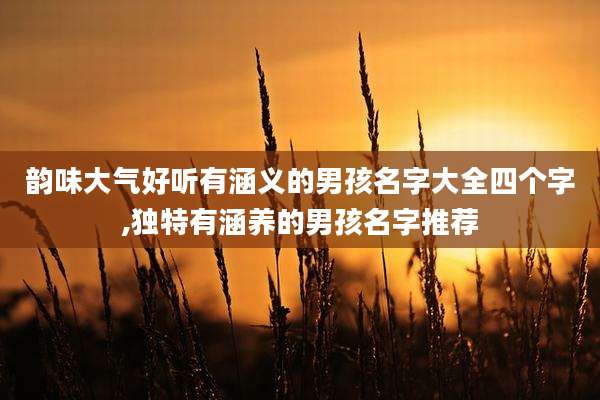 韵味大气好听有涵义的男孩名字大全四个字,独特有涵养的男孩名字推荐