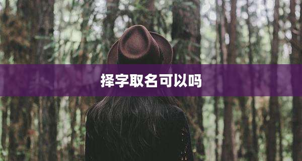 择字取名可以吗