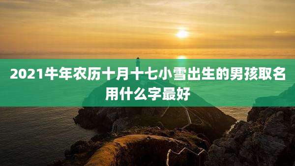 2021牛年农历十月十七小雪出生的男孩取名用什么字最好