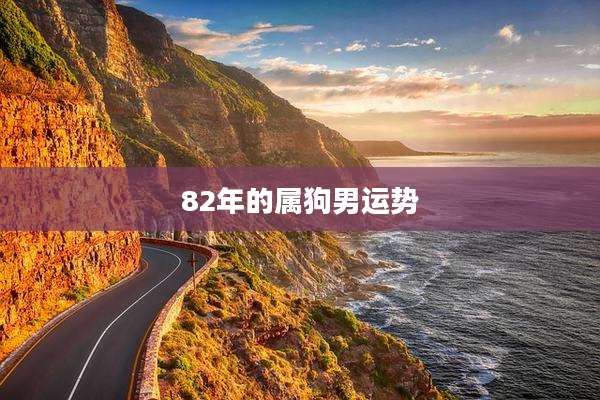82年的属狗男运势