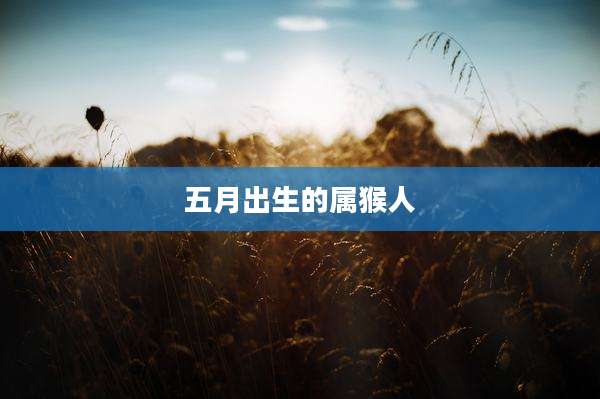 五月出生的属猴人