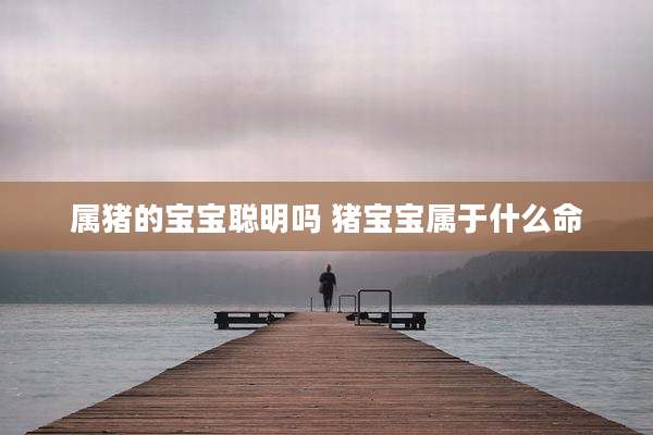 属猪的宝宝聪明吗 猪宝宝属于什么命