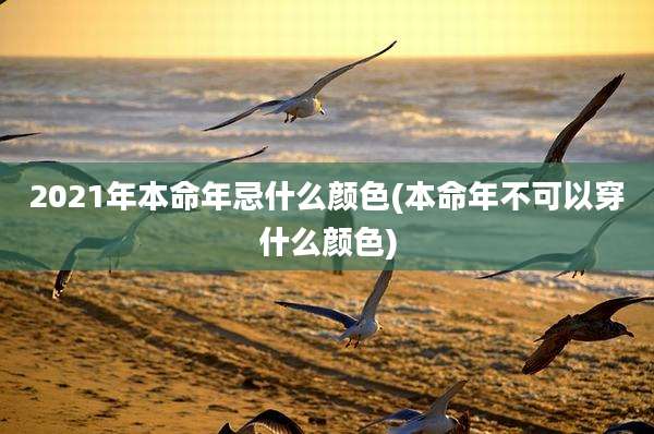 2021年本命年忌什么颜色(本命年不可以穿什么颜色)
