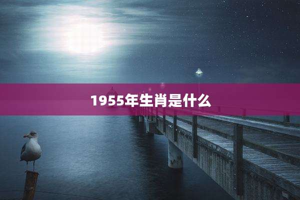 1955年生肖是什么