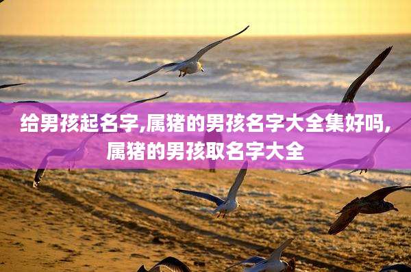 给男孩起名字,属猪的男孩名字大全集好吗,属猪的男孩取名字大全