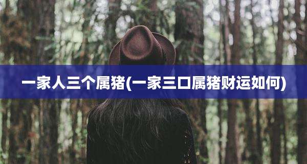 一家人三个属猪(一家三口属猪财运如何)