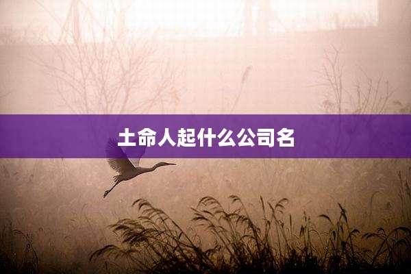 土命人起什么公司名