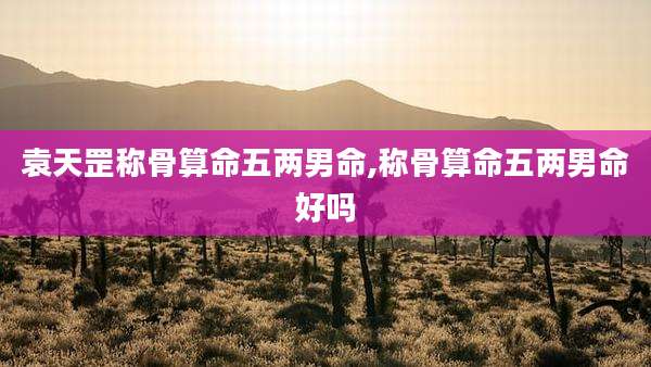 袁天罡称骨算命五两男命,称骨算命五两男命好吗