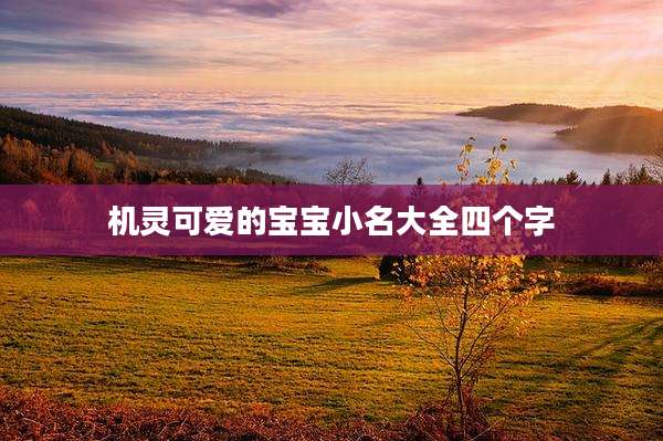机灵可爱的宝宝小名大全四个字