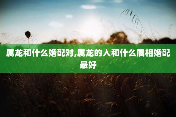 属龙和什么婚配对,属龙的人和什么属相婚配最好