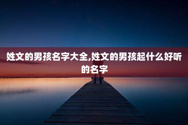 姓文的男孩名字大全,姓文的男孩起什么好听的名字
