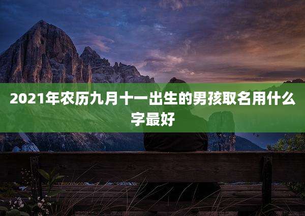 2021年农历九月十一出生的男孩取名用什么字最好