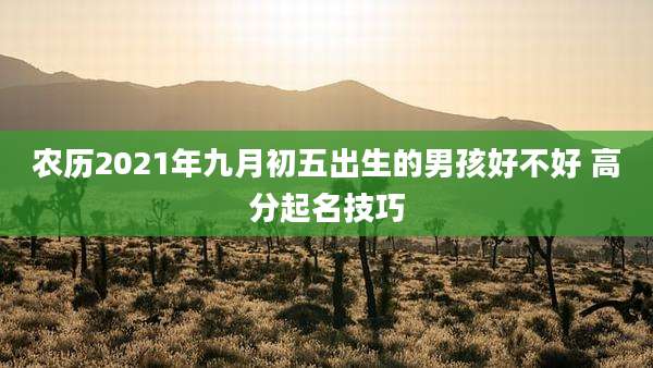 农历2021年九月初五出生的男孩好不好 高分起名技巧
