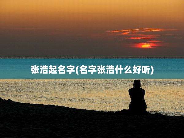张浩起名字(名字张浩什么好听)