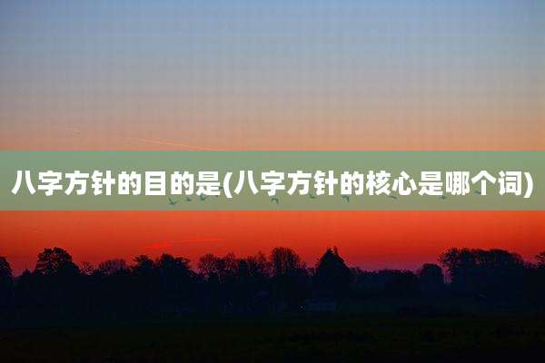八字方针的目的是(八字方针的核心是哪个词)
