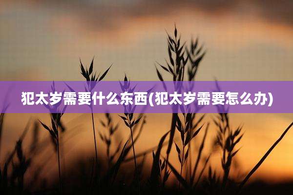 犯太岁需要什么东西(犯太岁需要怎么办)