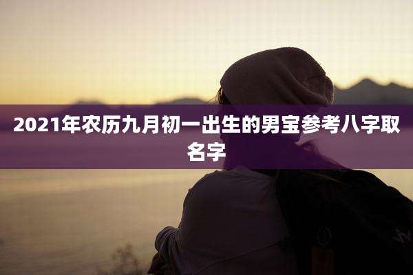 2021年农历九月初一出生的男宝参考八字取名字
