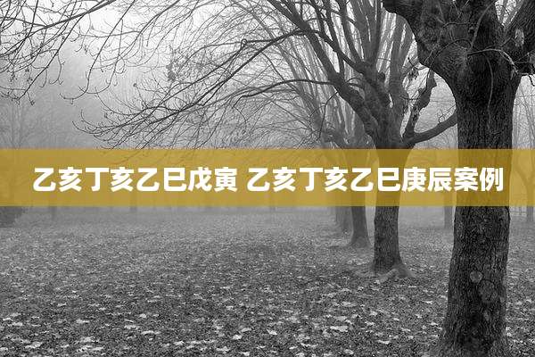 乙亥丁亥乙巳戊寅 乙亥丁亥乙巳庚辰案例