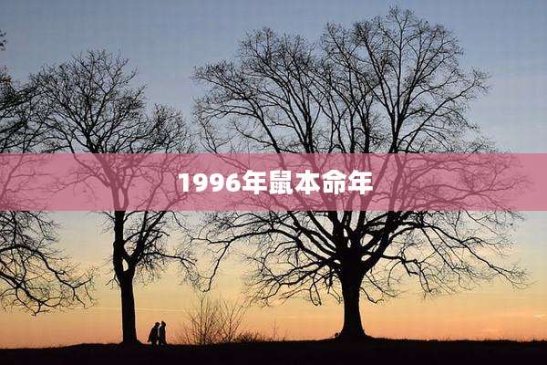 1996年鼠本命年