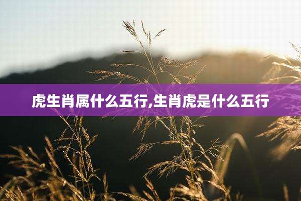 虎生肖属什么五行,生肖虎是什么五行