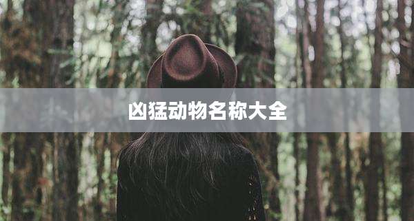 凶猛动物名称大全