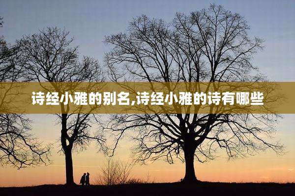 诗经小雅的别名,诗经小雅的诗有哪些