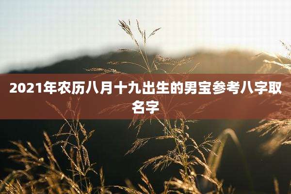 2021年农历八月十九出生的男宝参考八字取名字