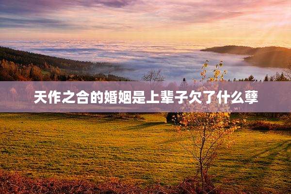 天作之合的婚姻是上辈子欠了什么孽