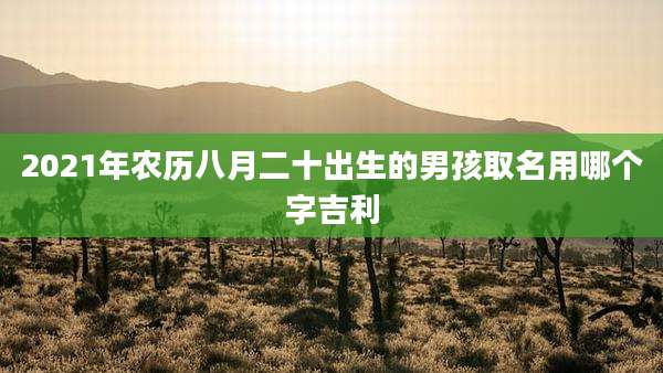 2021年农历八月二十出生的男孩取名用哪个字吉利