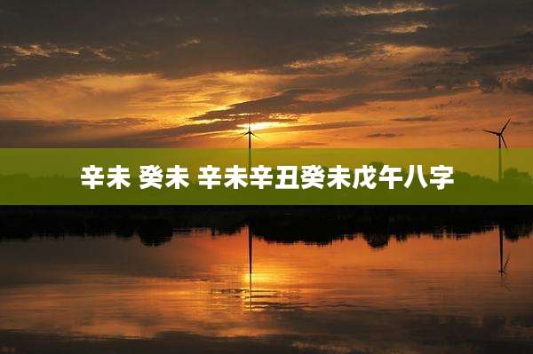 辛未 癸未 辛未辛丑癸未戊午八字