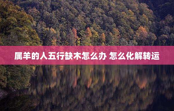 属羊的人五行缺木怎么办 怎么化解转运