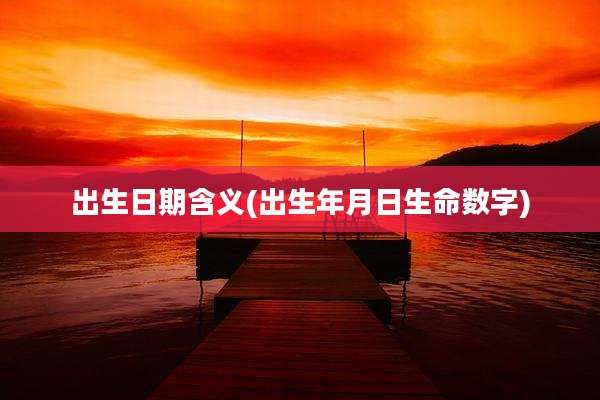 出生日期含义(出生年月日生命数字)