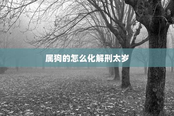 属狗的怎么化解刑太岁