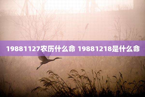 19881127农历什么命 19881218是什么命