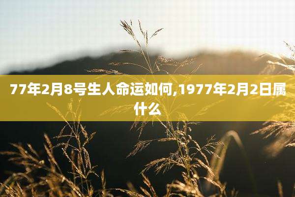 77年2月8号生人命运如何,1977年2月2日属什么