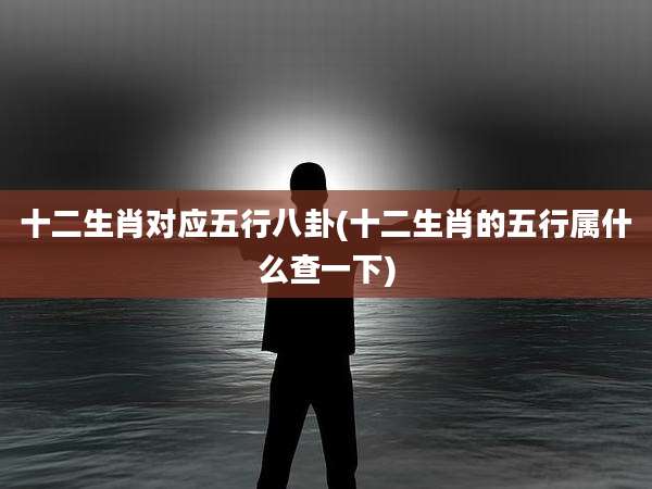 十二生肖对应五行八卦(十二生肖的五行属什么查一下)