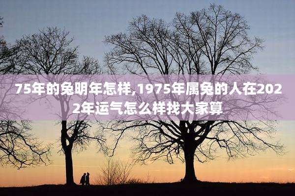 75年的兔明年怎样,1975年属兔的人在2022年运气怎么样找大家算