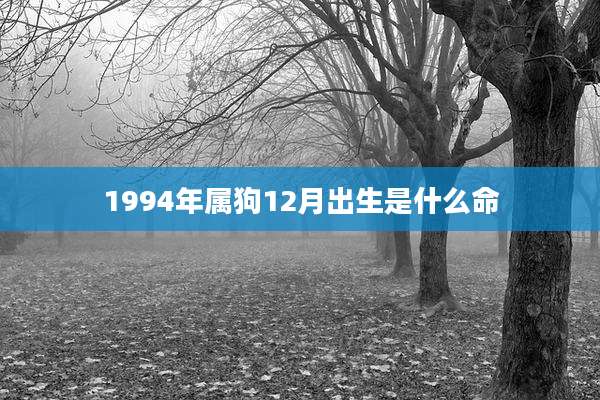 1994年属狗12月出生是什么命