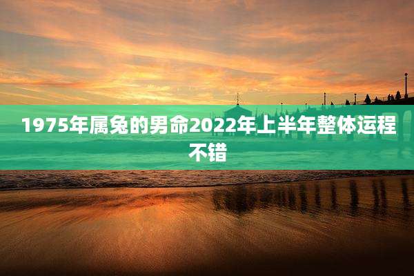 1975年属兔的男命2022年上半年整体运程不错