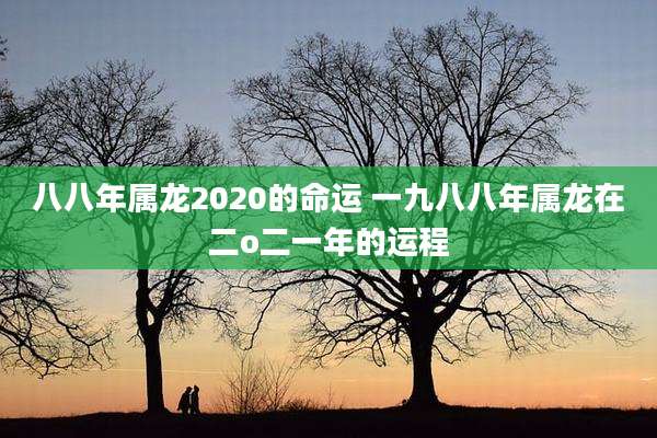八八年属龙2020的命运 一九八八年属龙在二o二一年的运程