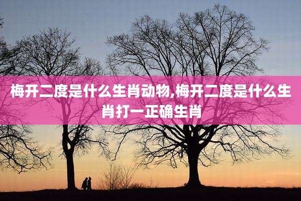 梅开二度是什么生肖动物,梅开二度是什么生肖打一正确生肖
