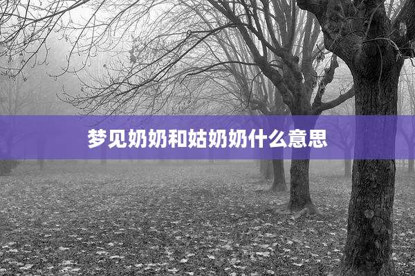 梦见奶奶和姑奶奶什么意思