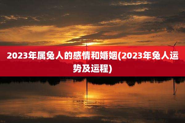 2023年属兔人的感情和婚姻(2023年兔人运势及运程)