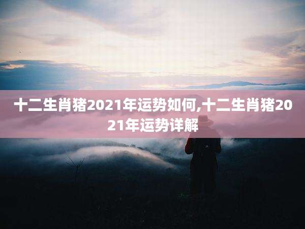 十二生肖猪2021年运势如何,十二生肖猪2021年运势详解